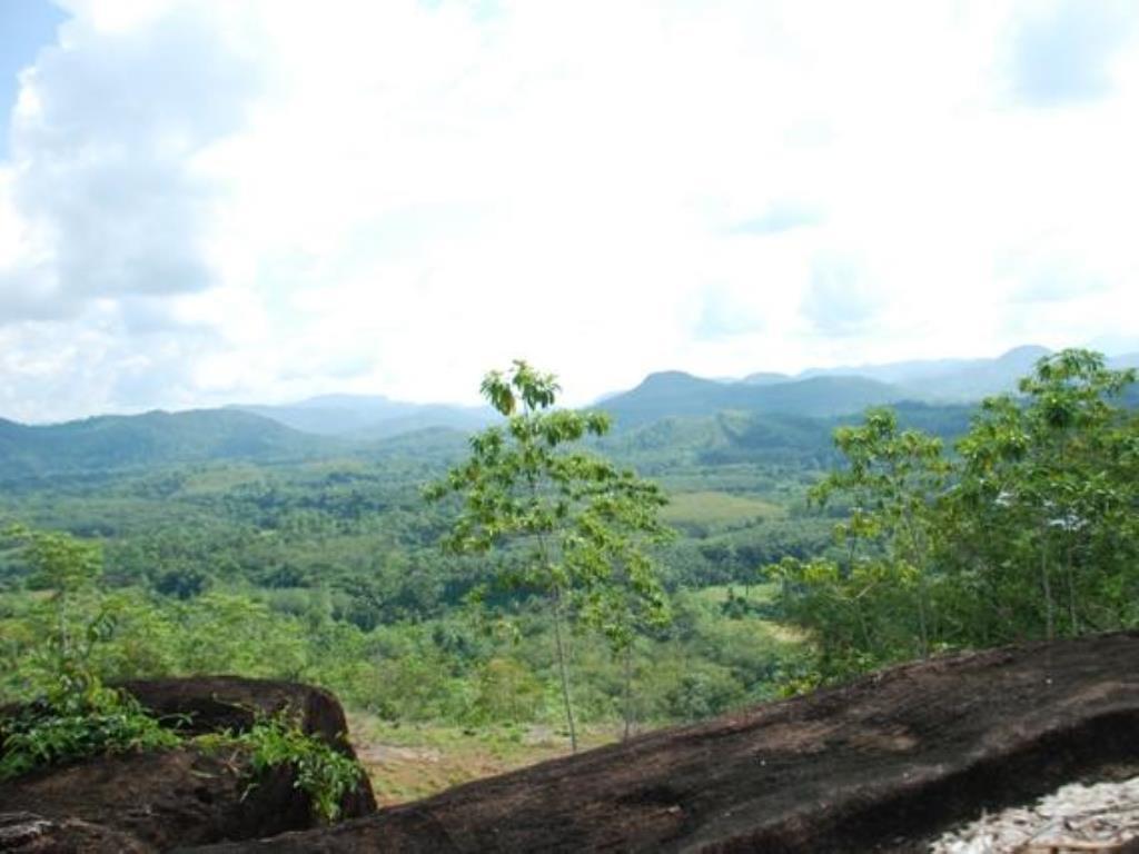 Nature Lovers Resort インギリヤ エクステリア 写真